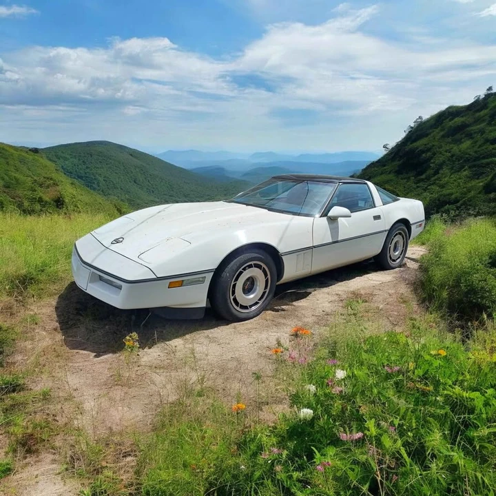 1985 Chevrolet Corvette C4 - Image 3 of 9