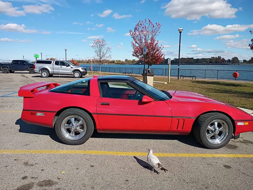 1985 Chevrolet Corvette C4 - Image 7 of 14