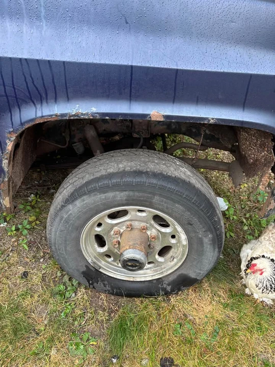 1985 Chevrolet C/K 3rd Gen - Image 3 of 7