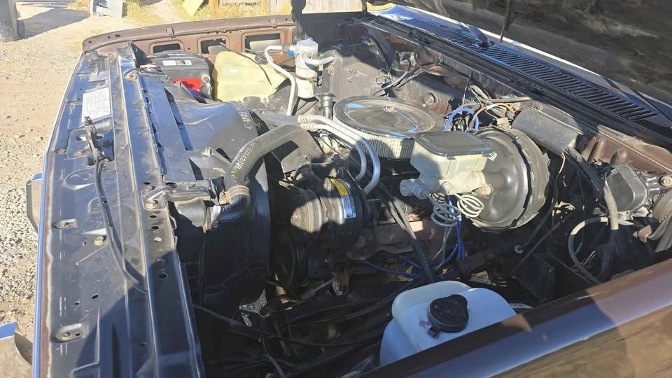 1985 Chevrolet Silverado - Image 3 of 13