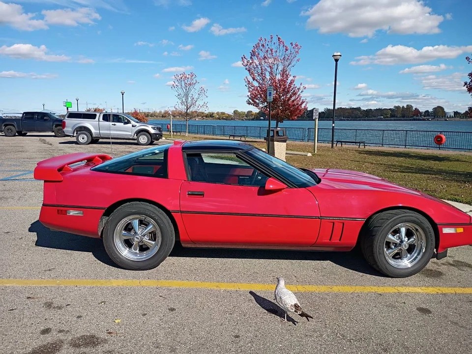 1985 Chevrolet Corvette C4 - Image 8 of 18