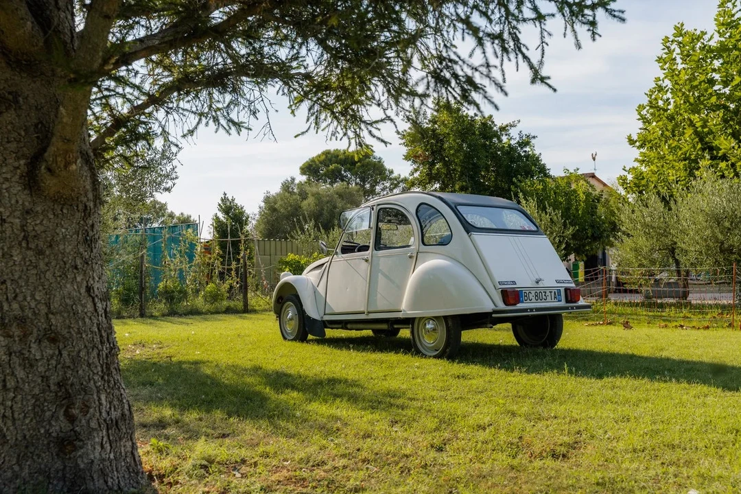 1985 Citroen 2CV - Image 5 of 30