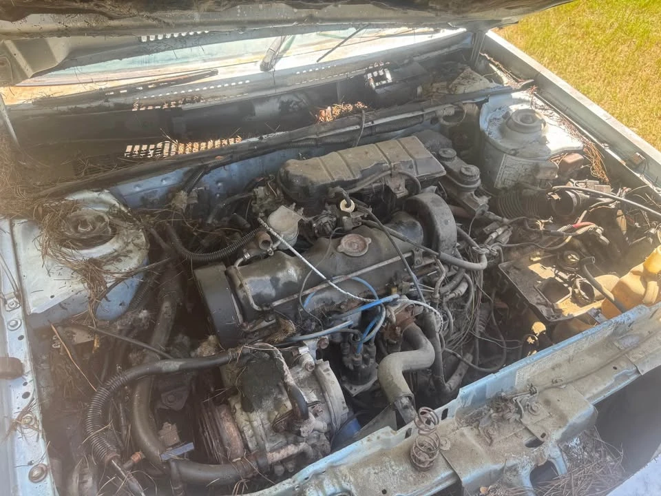1985 Dodge Charger 5th Gen - Image 5 of 5