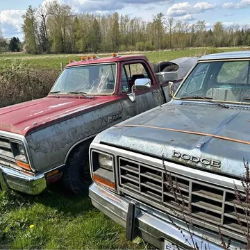 1985 Dodge D-150