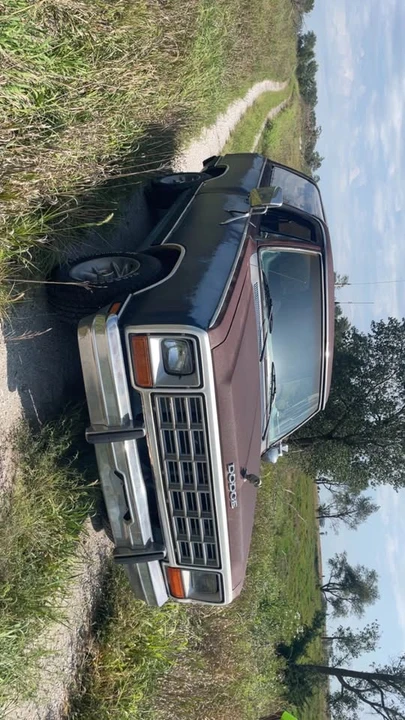 1985 Dodge Ramcharger - Image 3 of 9