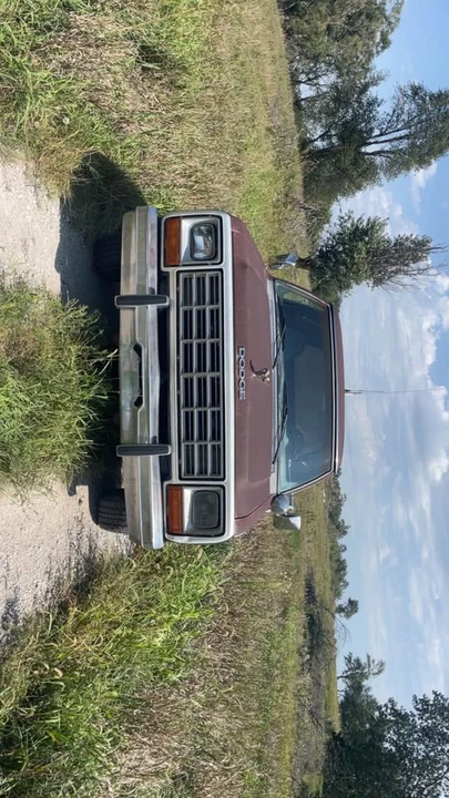 1985 Dodge Ramcharger - Image 4 of 9