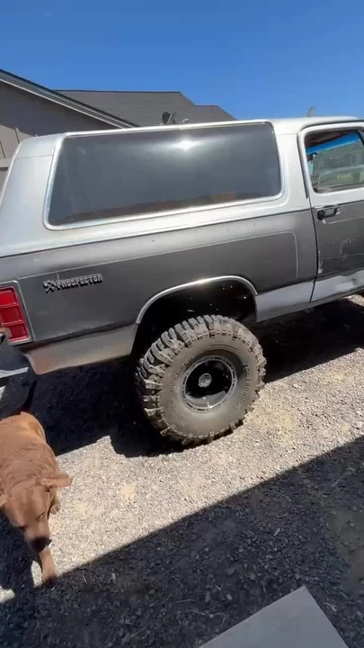 1985 Dodge Ramcharger - Image 8 of 8