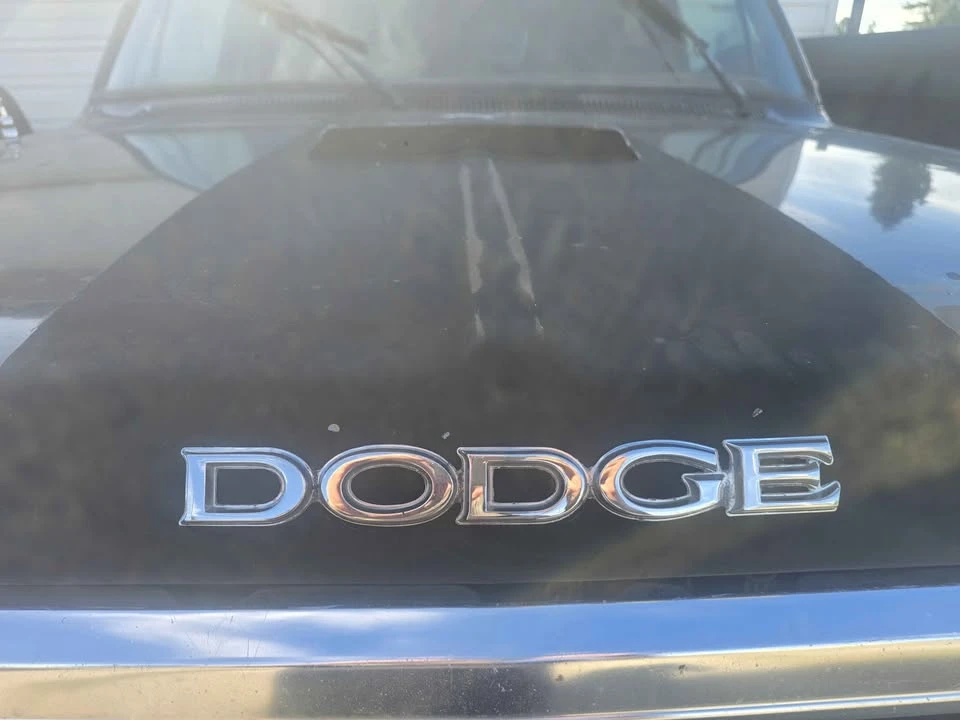1985 Dodge Ramcharger - Image 4 of 20
