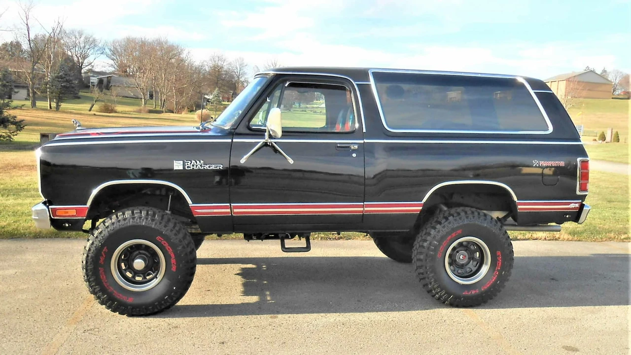 1985 Dodge Ramcharger - Image 23 of 24