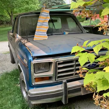 1985 Ford F-150 XLT Pickup 2D 6 1/2 ft