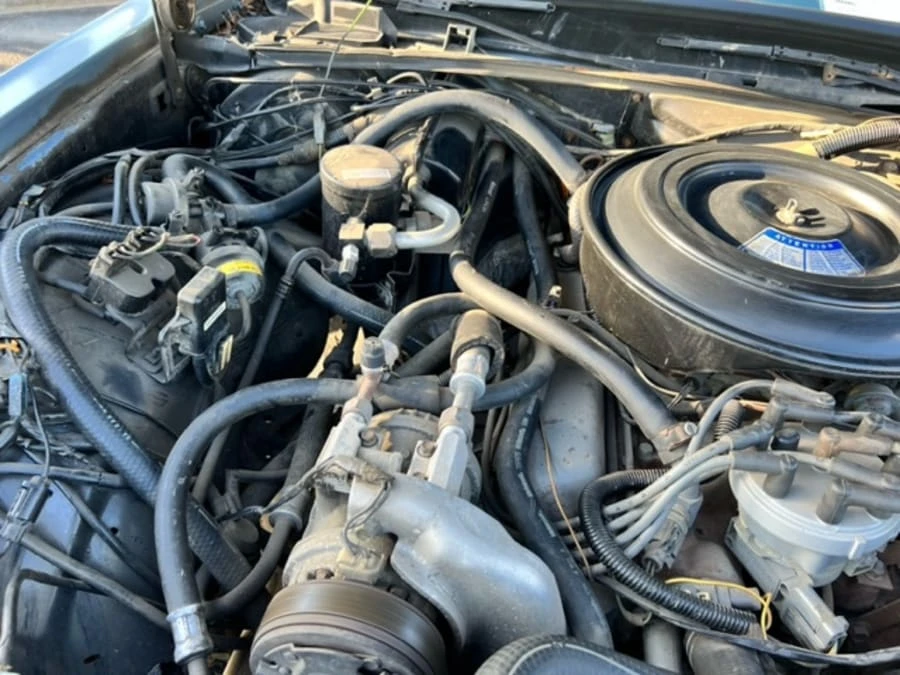 1985 Ford LTD - Image 24 of 25