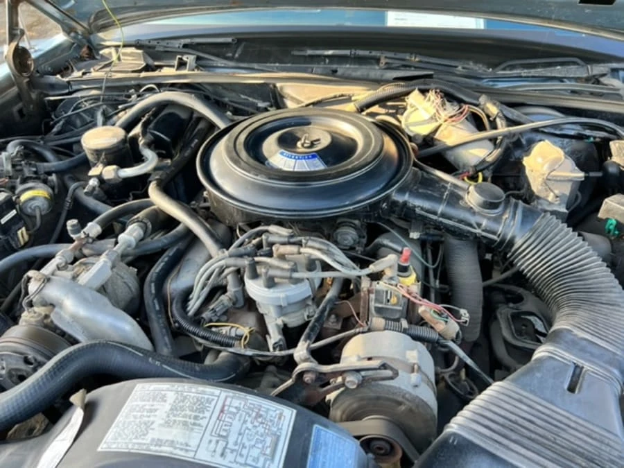 1985 Ford LTD - Image 25 of 25