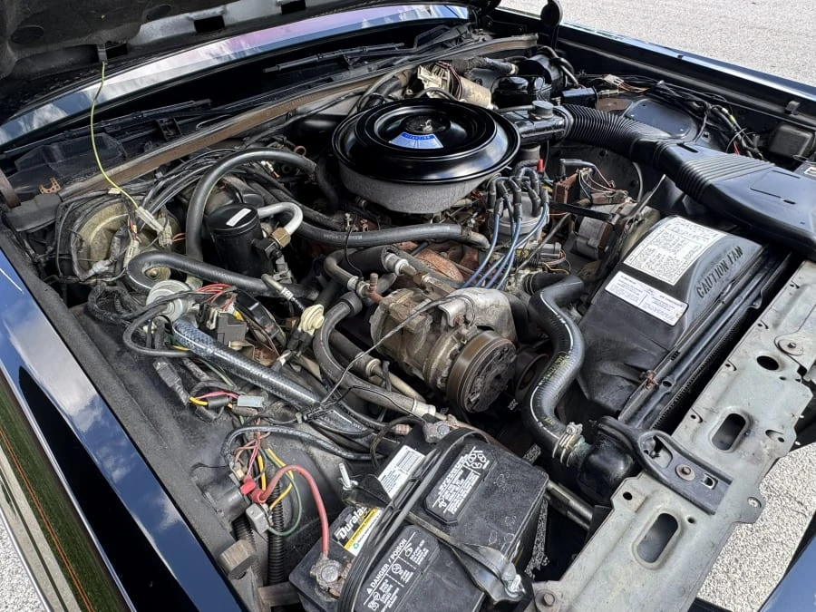 1985 Ford LTD - Image 12 of 14