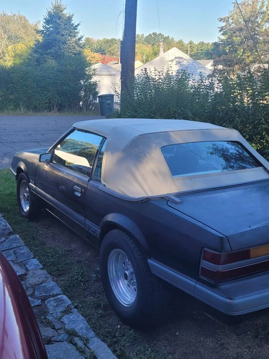 1985 Ford Mustang GT 3rd Gen - Image 3 of 11