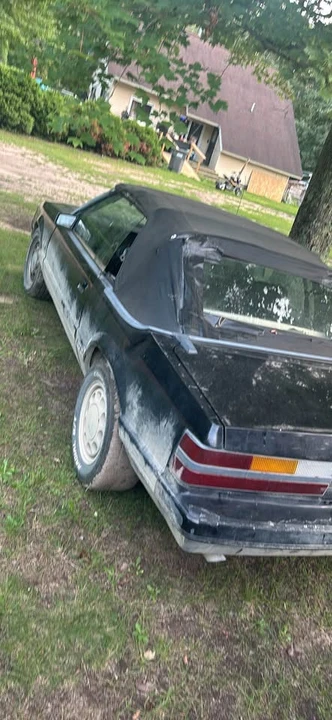 1985 Ford Mustang 3rd Gen - Image 4 of 6