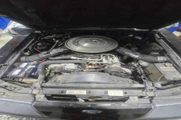 1985 Ford Mustang GT 3rd Gen - Image 19 of 19