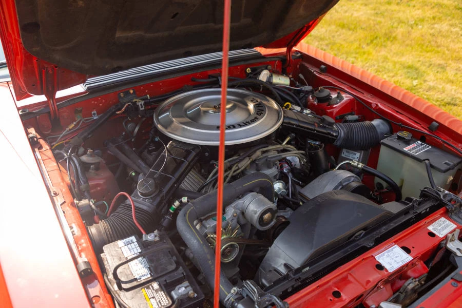 1985 Ford Mustang GT 3rd Gen - Image 20 of 20