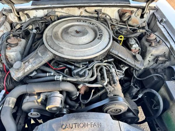 1985 Ford Mustang GT 3rd Gen - Image 13 of 15