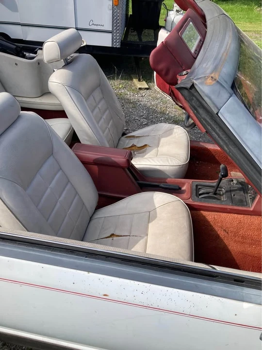 1985 Ford Mustang 3rd Gen - Image 6 of 12