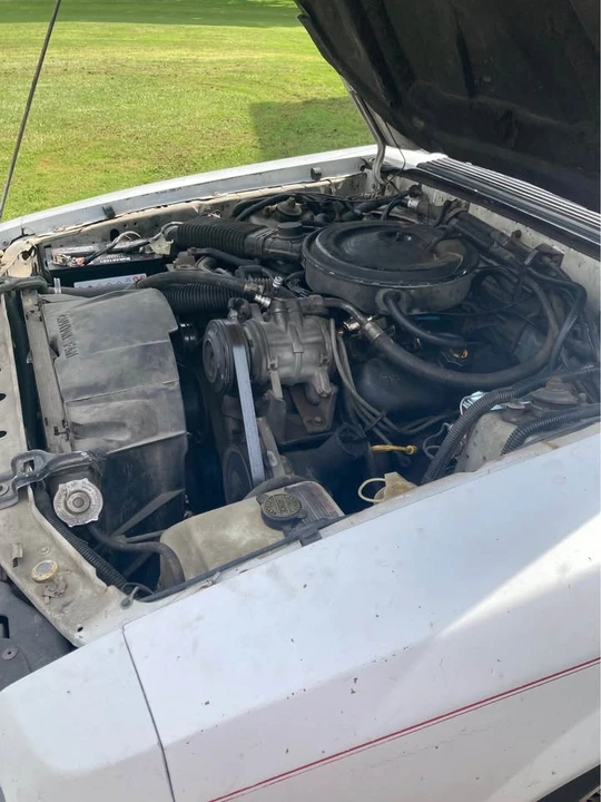 1985 Ford Mustang 3rd Gen - Image 12 of 12
