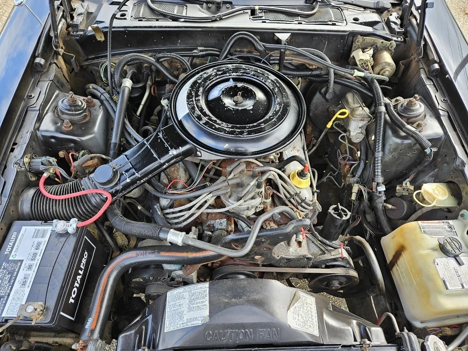 1985 Ford Thunderbird 9th Gen - Image 13 of 18