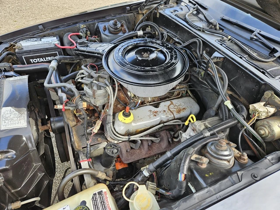 1985 Ford Thunderbird 9th Gen - Image 14 of 18