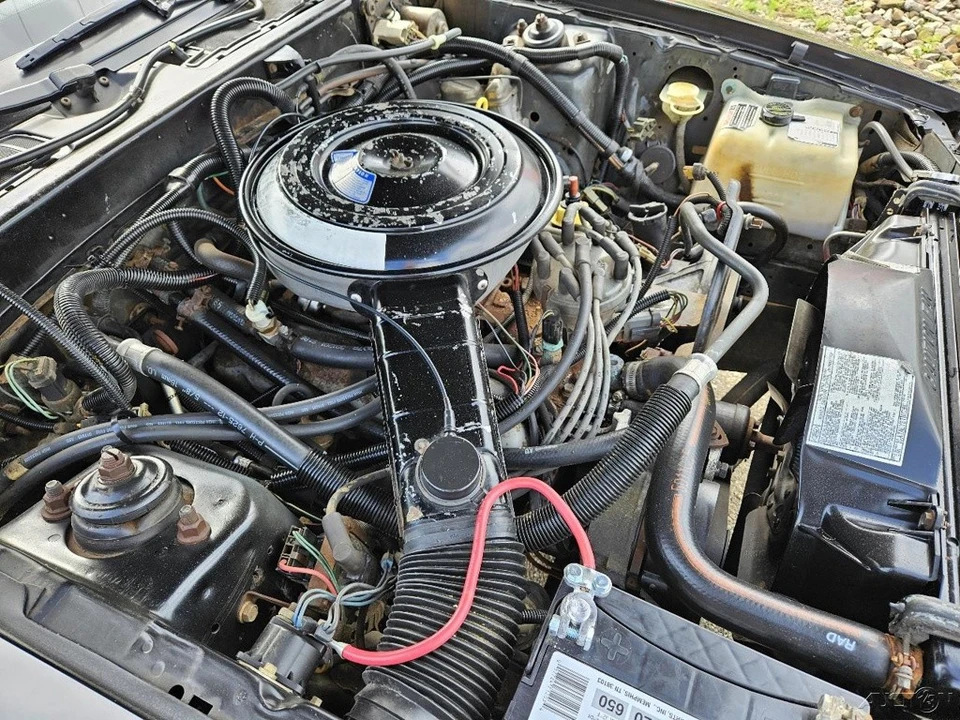1985 Ford Thunderbird 9th Gen - Image 15 of 18