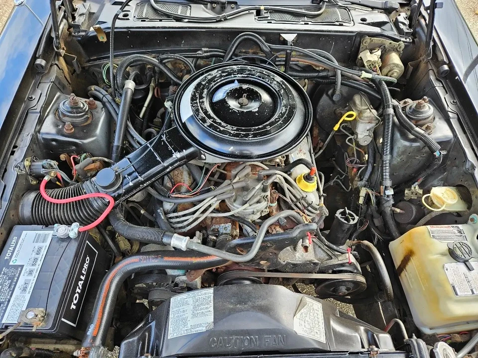 1985 Ford Thunderbird 9th Gen - Image 13 of 18