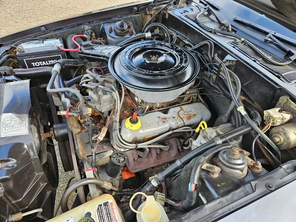 1985 Ford Thunderbird 9th Gen - Image 14 of 18
