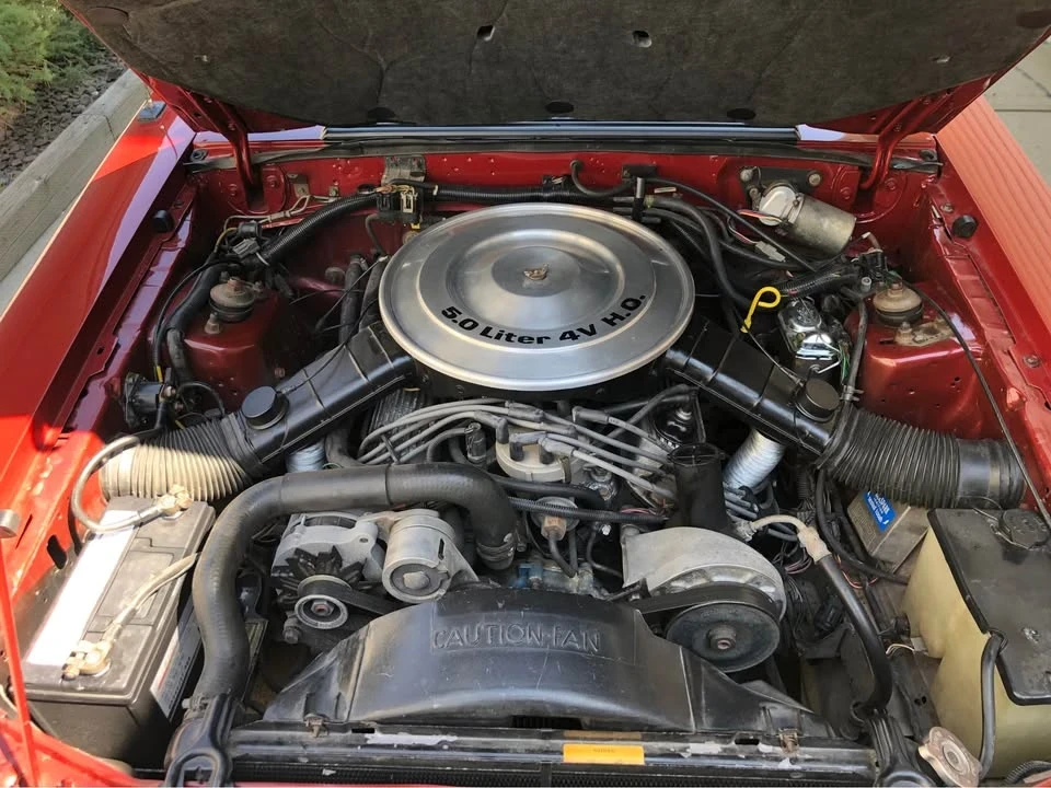 1985 Ford Mustang 3rd Gen - Image 14 of 15