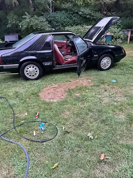 1985 Ford Mustang GT Hatchback