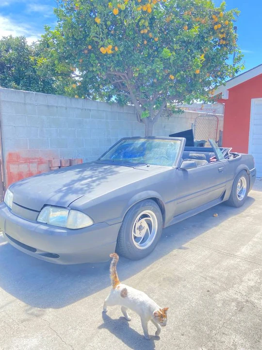 1985 Ford Mustang GT 3rd Gen - Image 4 of 21
