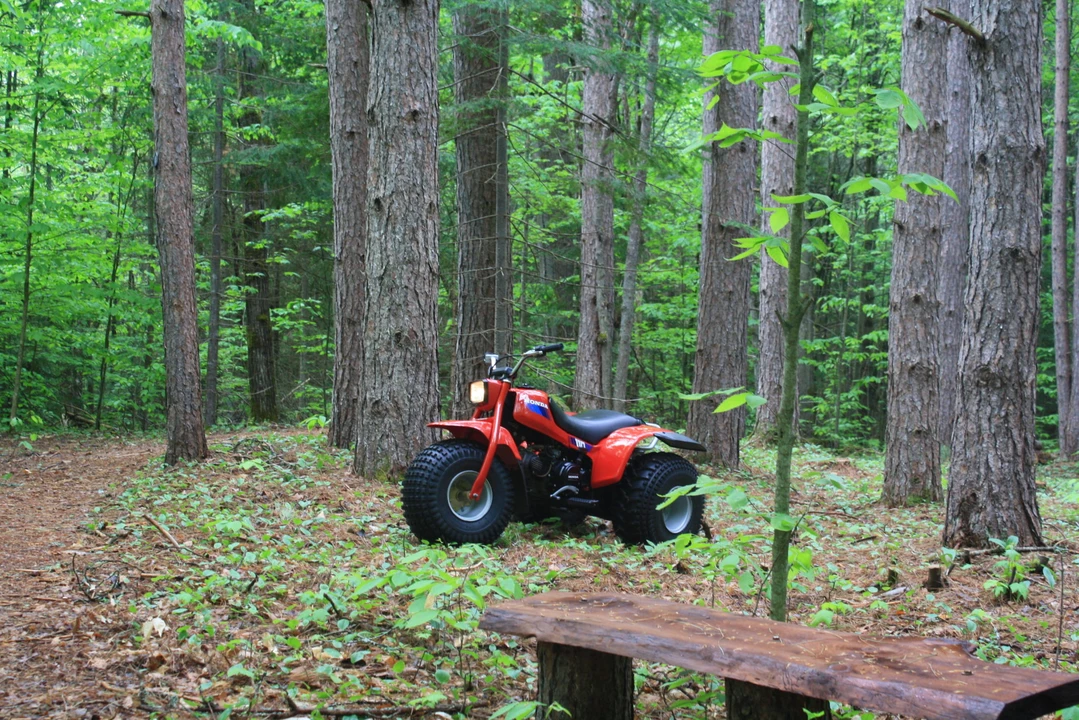 1985 Honda ATV - Image 25 of 31