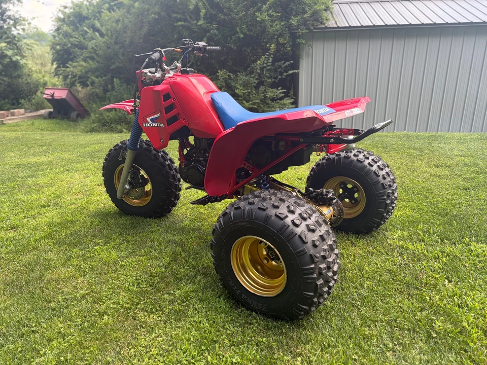 1985 Honda ATV - Image 8 of 31