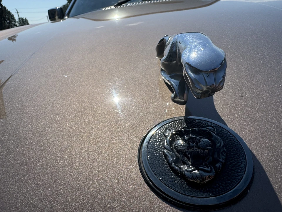 1985 Jaguar XJS Pre-Facelift V12 - Image 22 of 31
