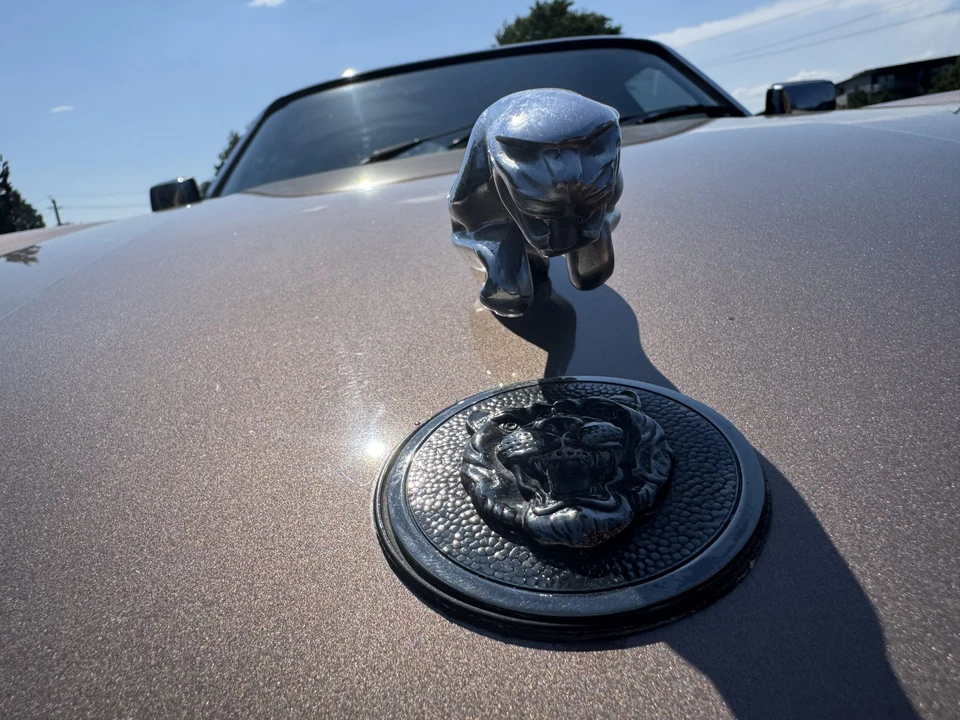 1985 Jaguar XJS Pre-Facelift V12 - Image 21 of 31