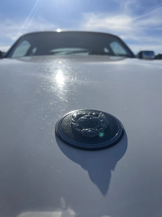 1985 Jaguar XJS Pre-Facelift V12 - Image 25 of 31