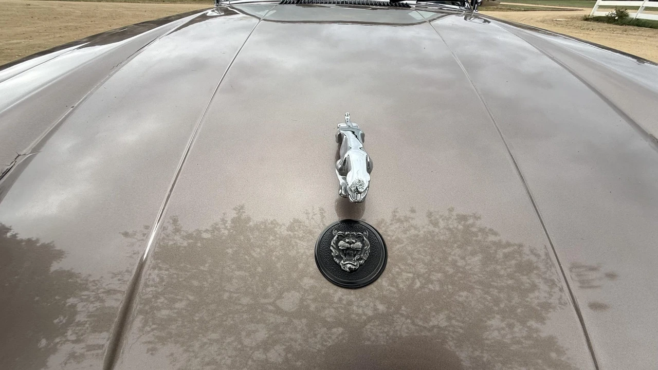 1985 Jaguar XJS Pre-Facelift V12 - Image 18 of 31