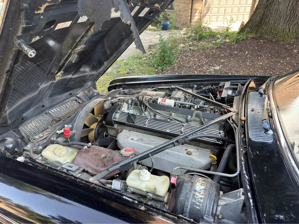 1985 Jaguar XJ Series 3 - Image 7 of 11