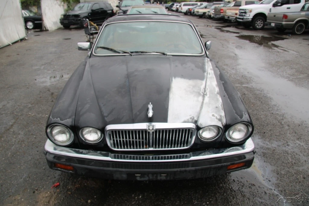1985 Jaguar XJ Series 3 - Image 9 of 21