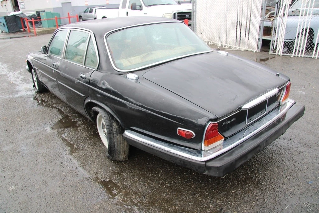 1985 Jaguar XJ Series 3 - Image 4 of 21