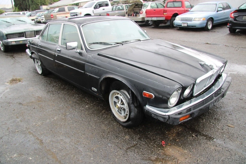 1985 Jaguar XJ Series 3 - Image 8 of 21