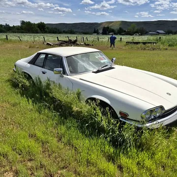 1985 Jaguar XJS V12 Coupe