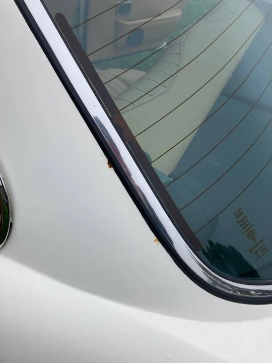 1985 Jaguar XJ Series 3 - Image 18 of 21
