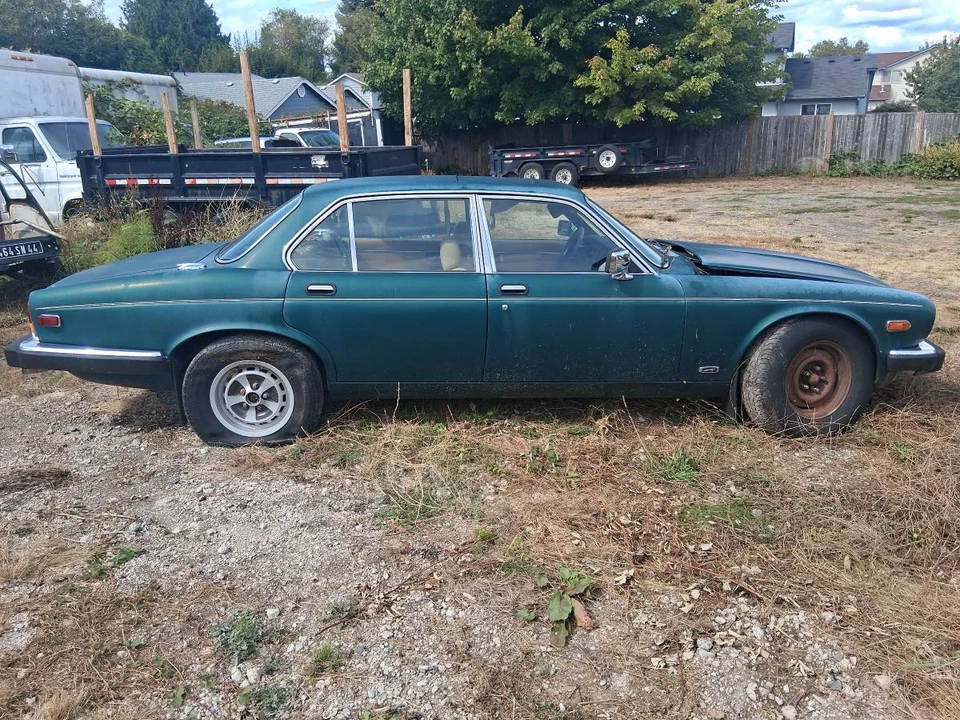 1985 Jaguar XJS - Image 11 of 12
