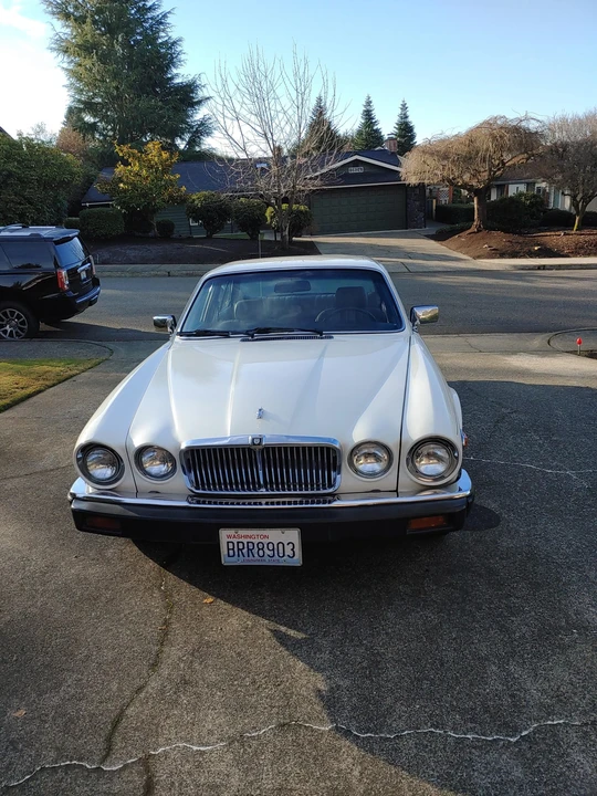 1985 Jaguar XJ Series 3 - Image 14 of 31