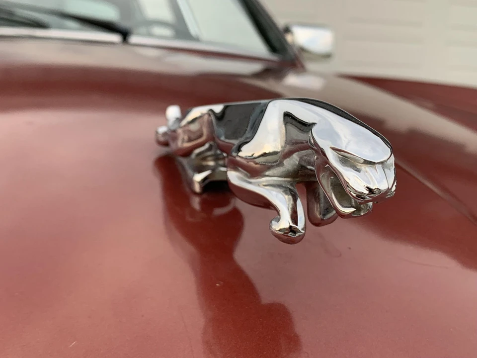1985 Jaguar XJ Series 3 - Image 25 of 31