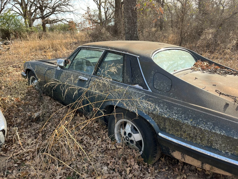 1985 Jaguar XJS - Image 2 of 6