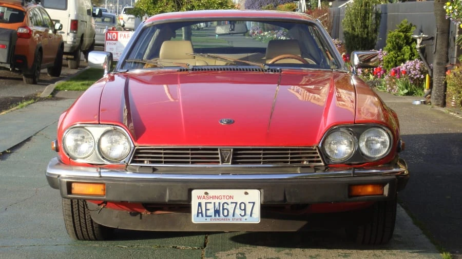 1985 Jaguar XJS - Image 7 of 7