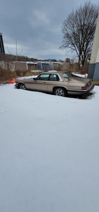 1985 Jaguar XJS - Image 13 of 13